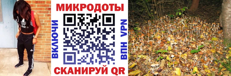 где купить наркоту  Горно-Алтайск  Псилоцибиновые грибы Magic Shrooms 