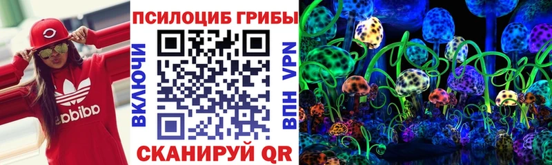 Псилоцибиновые грибы мухоморы Горно-Алтайск