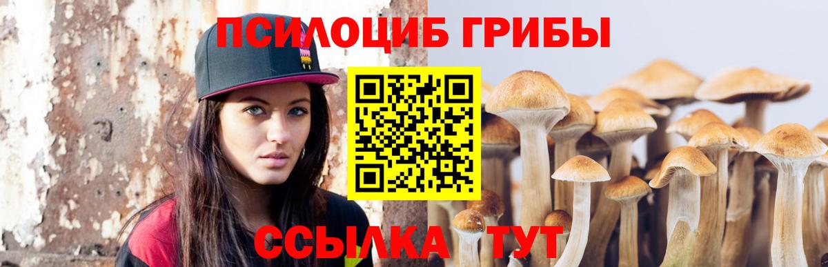 Галлюциногенные грибы мицелий  Вход с VPN  Горно-Алтайск 
