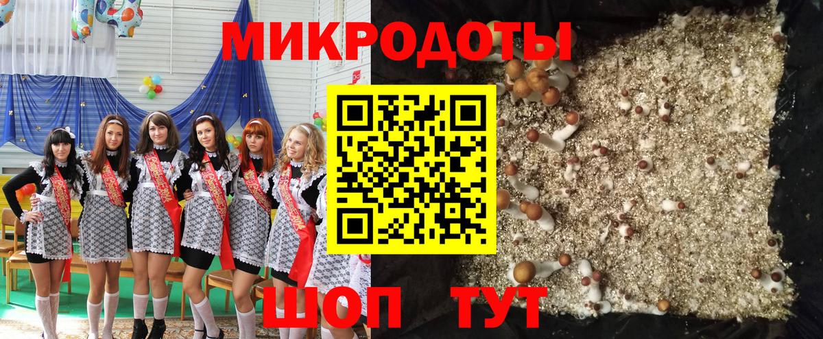 Псилоцибиновые грибы прущие грибы Горно-Алтайск